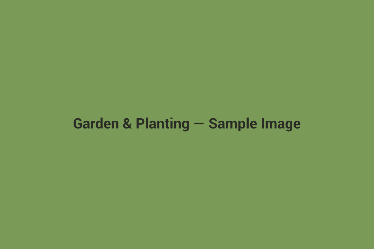 Sample placeholder image for garden and planting services
