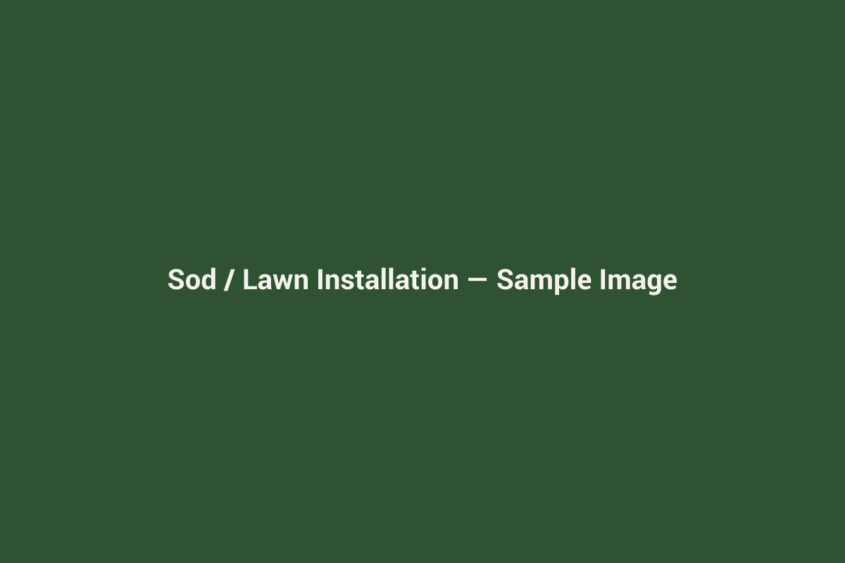 Sample placeholder image for sod and lawn installation services